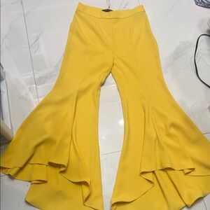 Zara wide leg pant